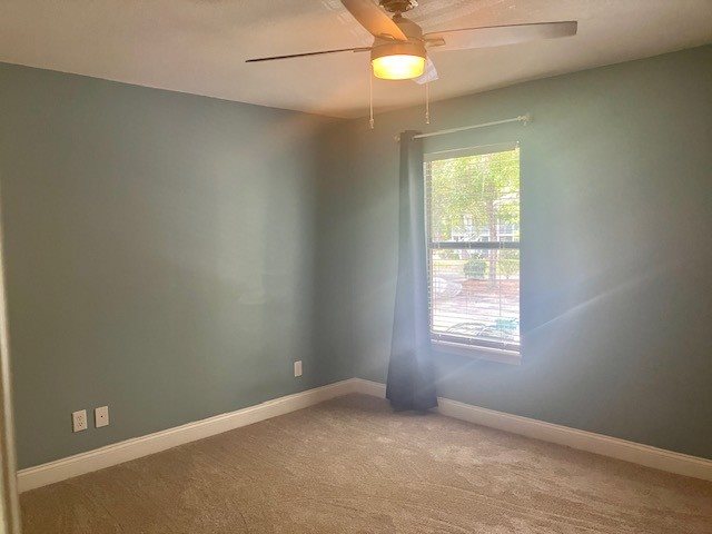 Gallery Photo 5